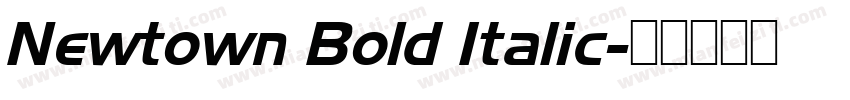 Newtown Bold Italic字体转换